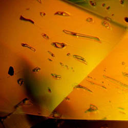 Multiphase Inclusions in Sphene